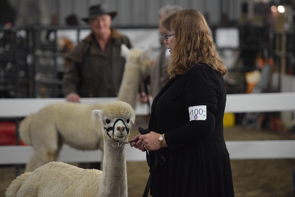 Jean Van Effen stands with an alpaca waiting to be judged during the AlpacaFest competition Saturday morning at the Grant County Fairgrounds.