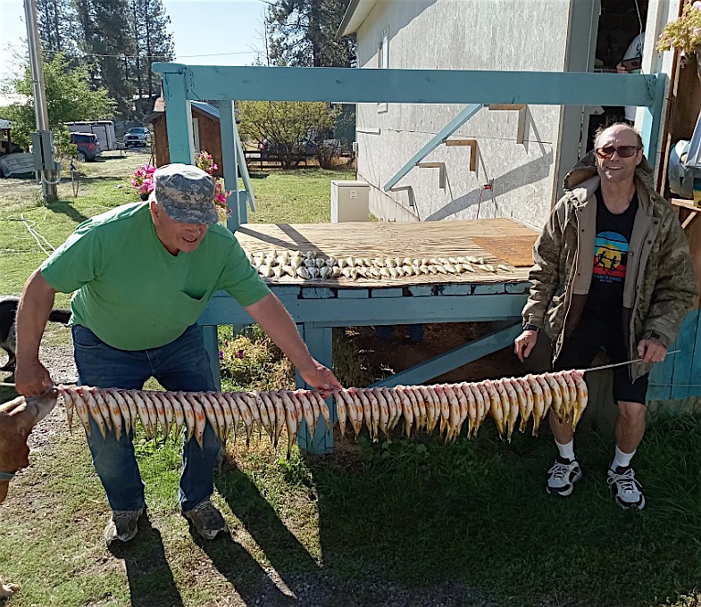 Macman Dick Zimmer and Brad Vaughn show off a string of 125 perch caught on Flathead Lake in early October. (Photo provided)