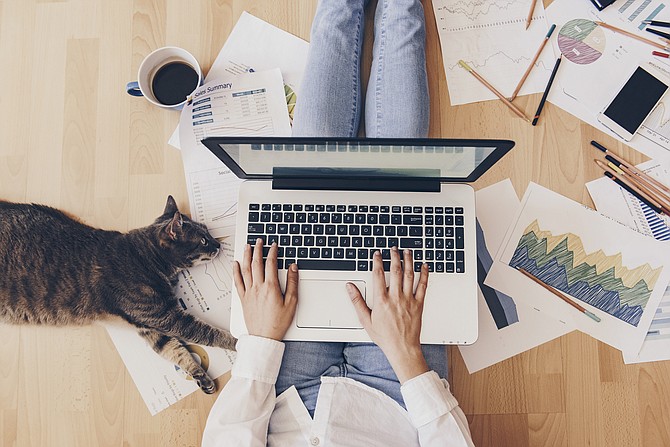 A study from resume.io that analyzed Twitter posts found 41.8% of Idahoans' tweets about working from home to be positive. It helps to have feline office assistants, of course.