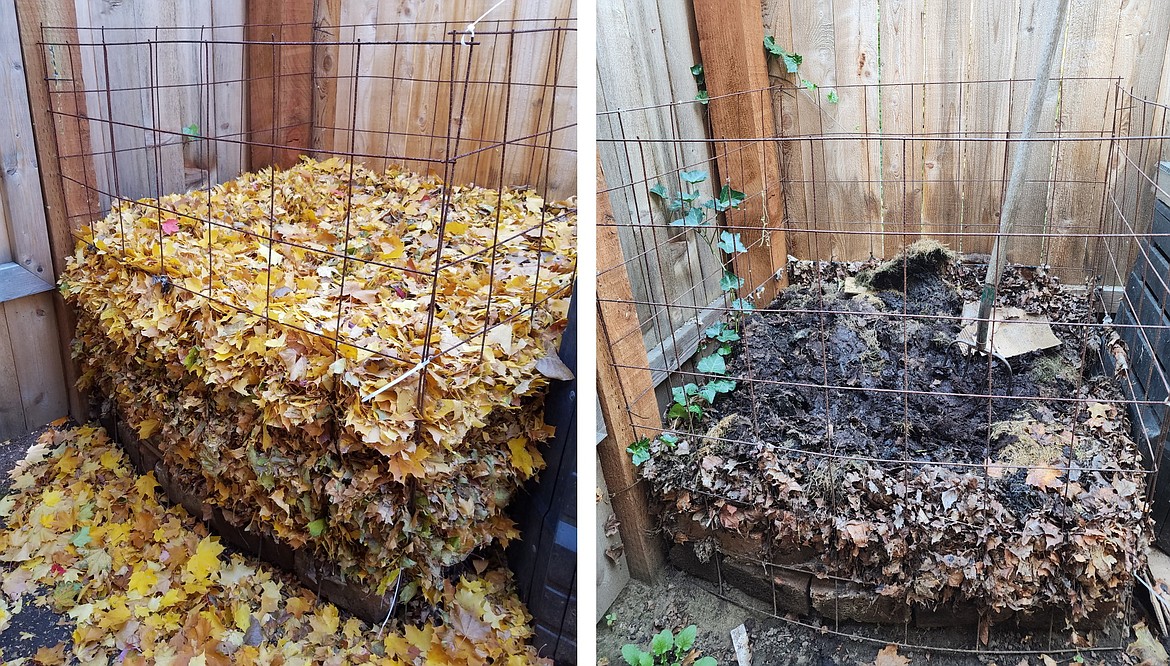 A simple wire mesh bin corrals shredded leaves to create leaf mold. The decomposed leaves make a great soil conditioner – adding texture and moisture retention properties to the soil.