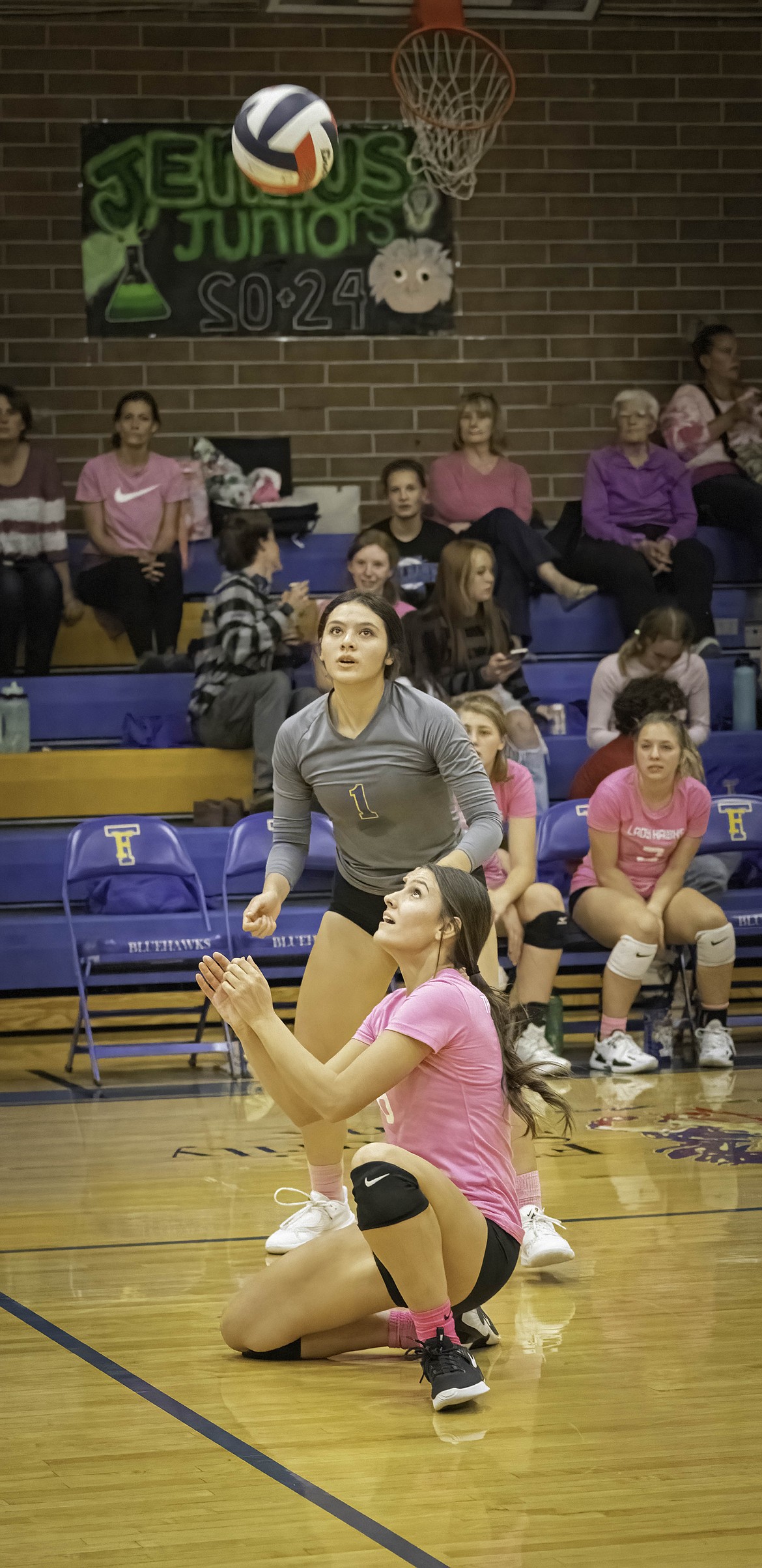 Plains takes on Thompson Falls in volleyball. (Tracy Scott/Valley Press)