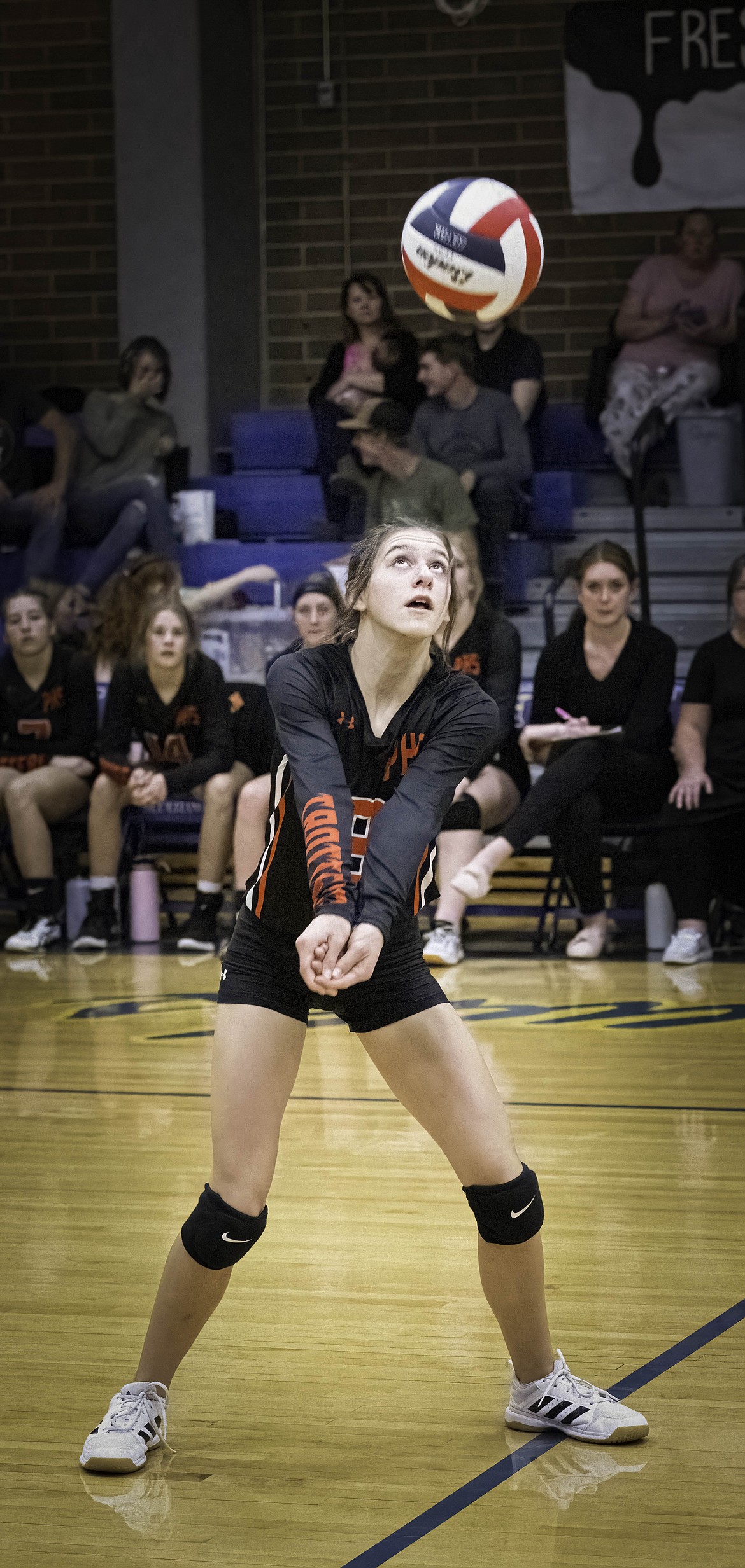 Plains takes on Thompson Falls in volleyball. (Tracy Scott/Valley Press)