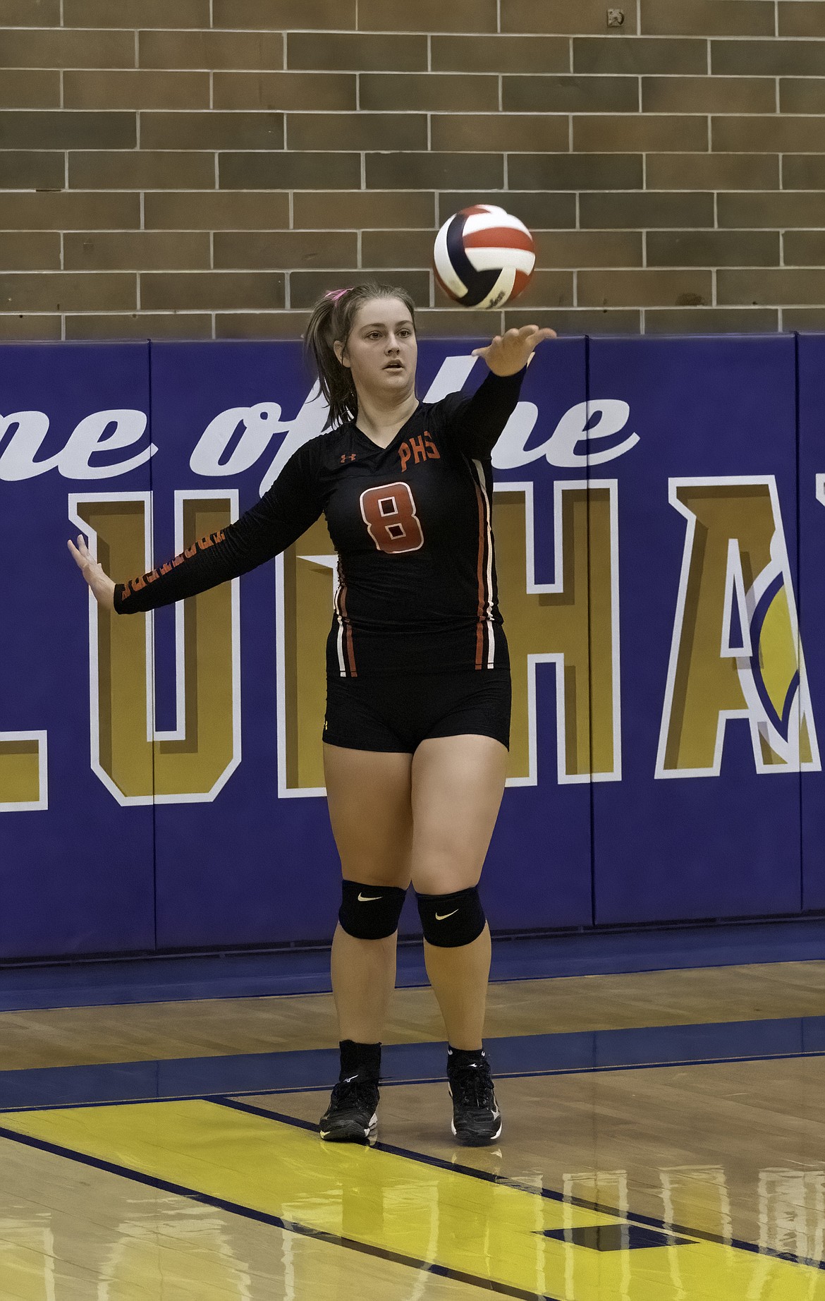 Plains takes on Thompson Falls in volleyball. (Tracy Scott/Valley Press)