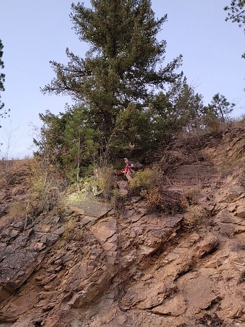 Superior Volunteer Fire Department members Scott Dodd (on the cliff) and Kyle Zenor work to resuce two dogs on Mullan Road. (Josh Pecora photo)