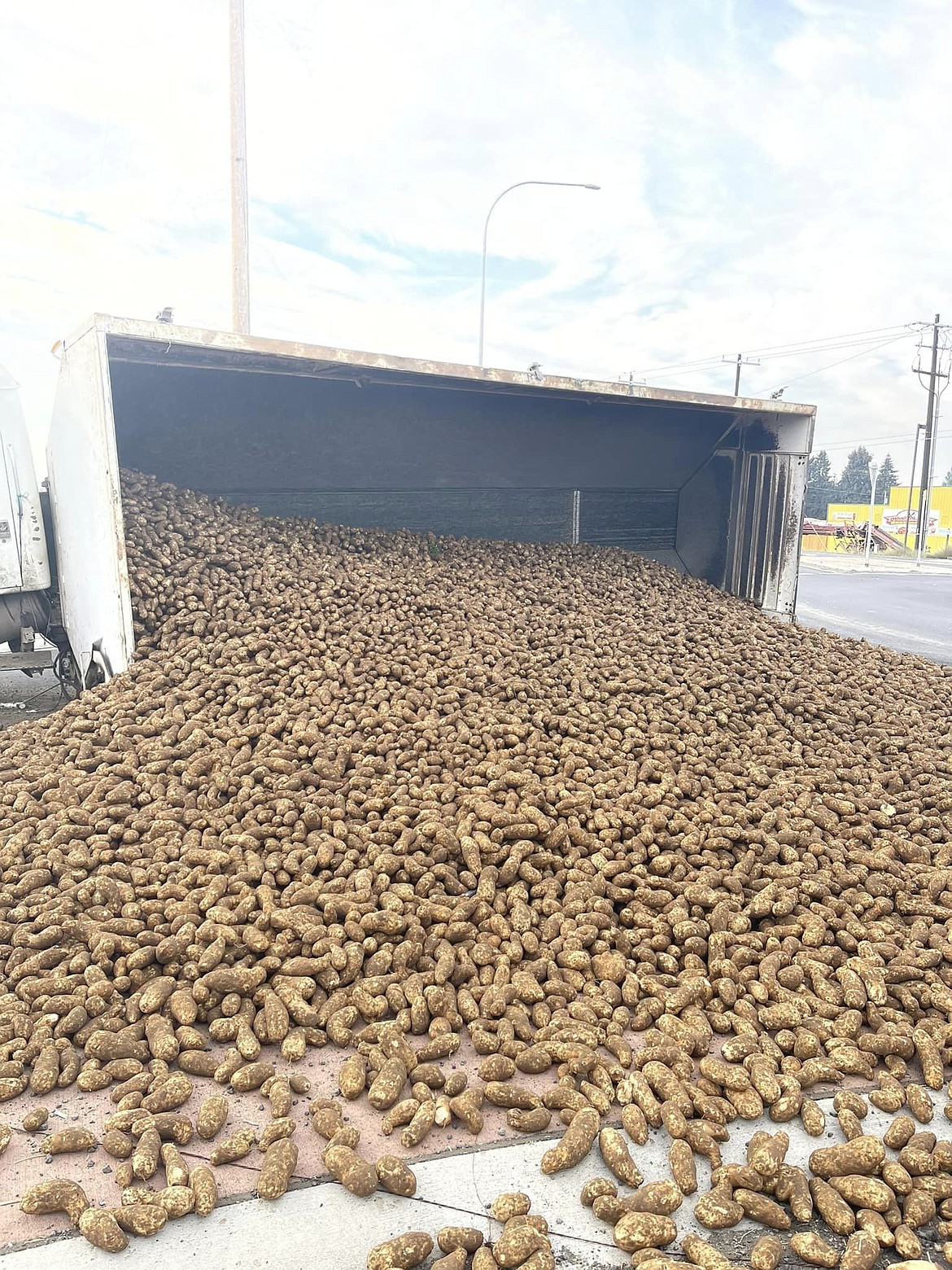 Potatoes spilled across the roundabout at the intersection of S.R. 24 and Bench Road south of Othello on Thursday when a pup trailer became unbalanced as driver Nacisco Cruz-Merida drove across the intersection.