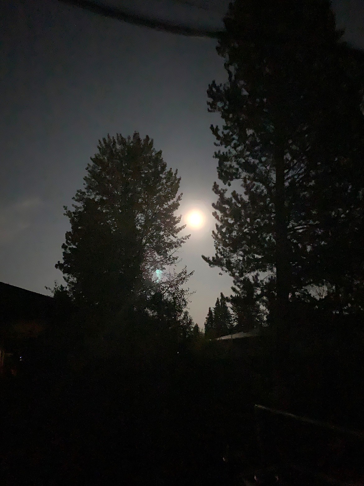 Donna Davis shared this Best Shot of an October night. Send in your own Best Shot or I Took The Bee to the Bonner County Daily Bee, P.O. Box 159, Sandpoint, Idaho, 83864; or email them to news@bonnercountydailybee.com.