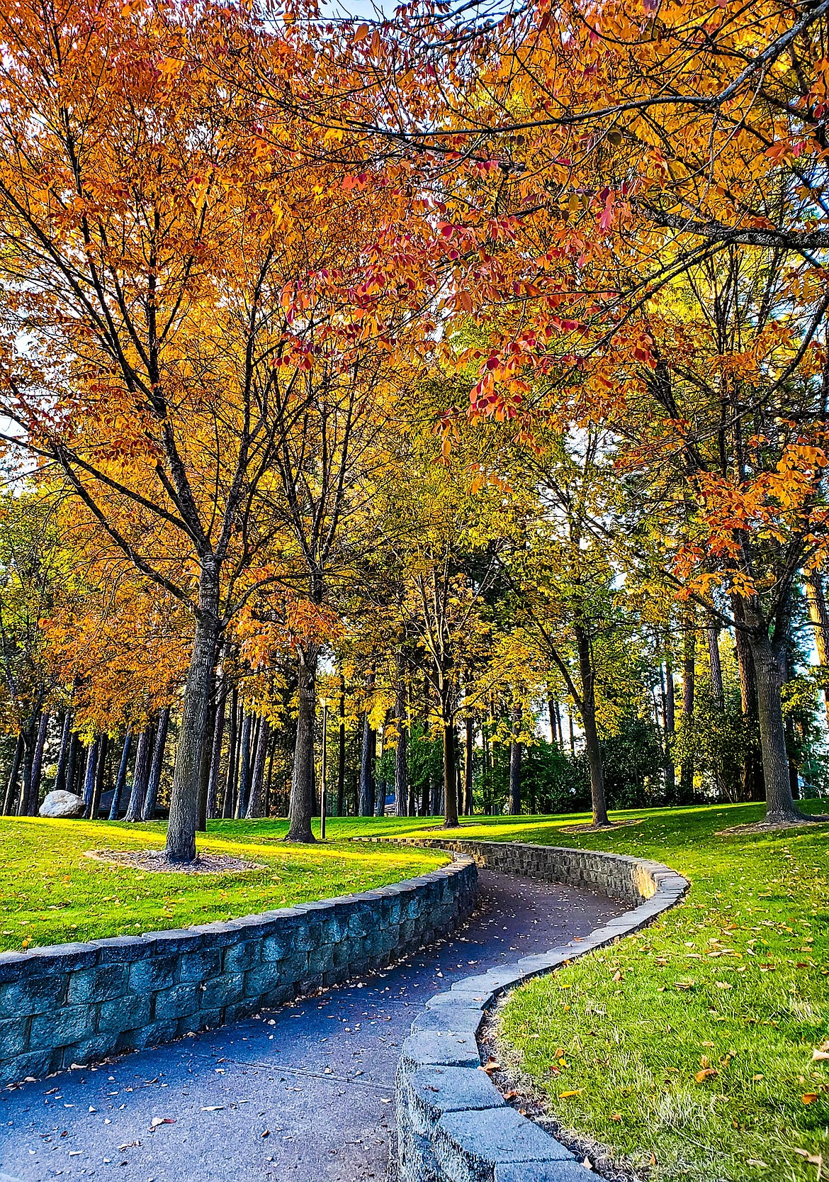 Ramsey Park in Coeur d'Alene.