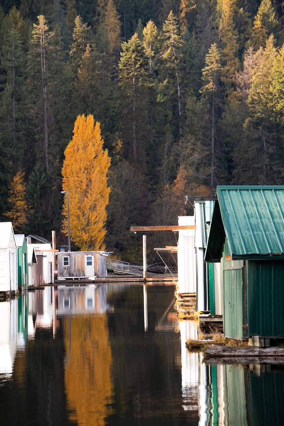 South end of Coeur d'Alene Lake near Heyburn State Park.