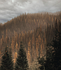 YOUR PHOTOS: North Idaho Slices of Life
