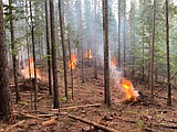 Prepare to see smoke on Canfield Mountain