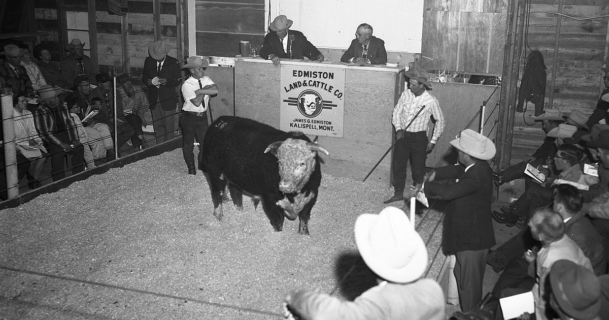 Yesterdays Road over Hungry Horse Dam opens Hungry Horse News