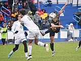 Cats advance to finals, again