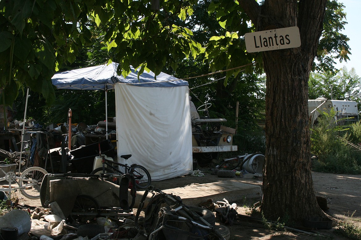 A sign nailed to a tree at an encampment of those dealing with homelessness says "tires" in Spanish. The tree is surrounded by bicycles and car tires in various conditions.