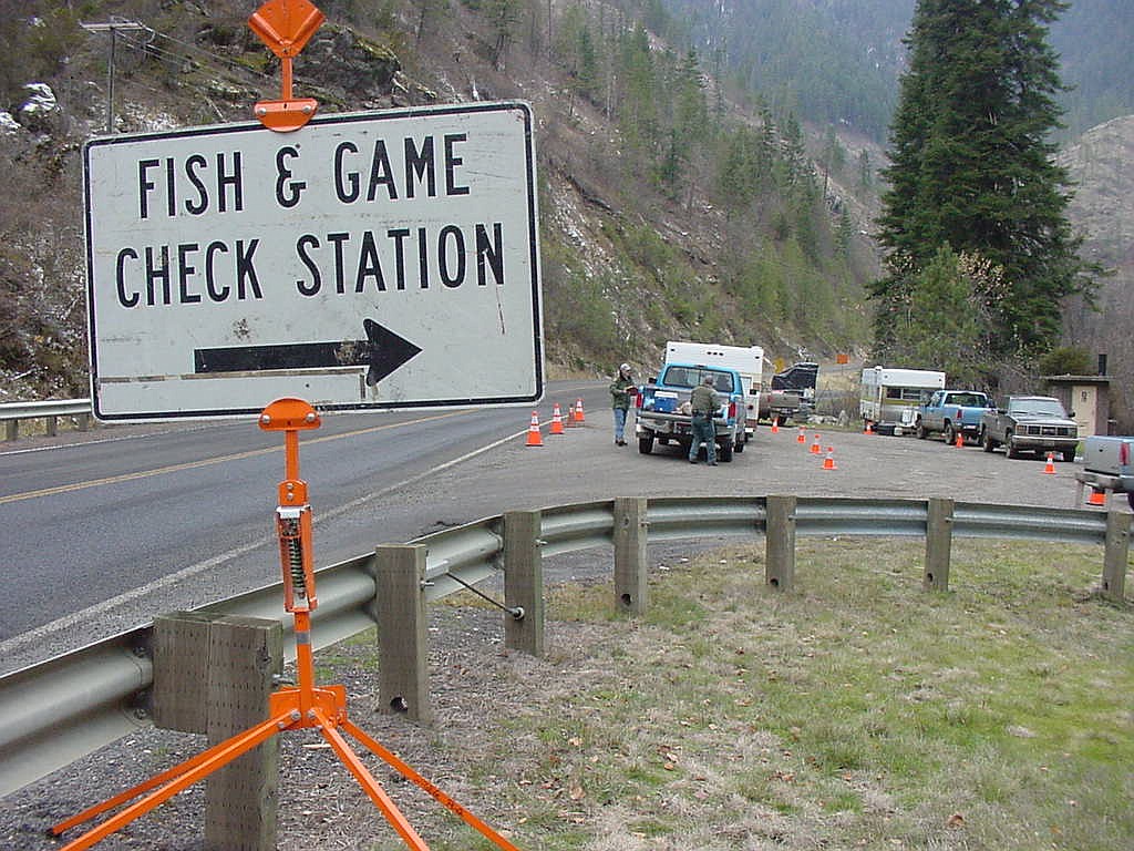 Deer and elk hunters can leave lymph nodes from harvested animals at five CWD drop-off locations throughout the Southeast Region, including the regional Fish and Game office in Pocatello.  Fish and Game staff at check stations and the regional offices (during normal office hours) can assist hunters with lymph node removal if requested.