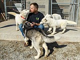Reservoir dogs all adopted; but county now has a bigger dog problem