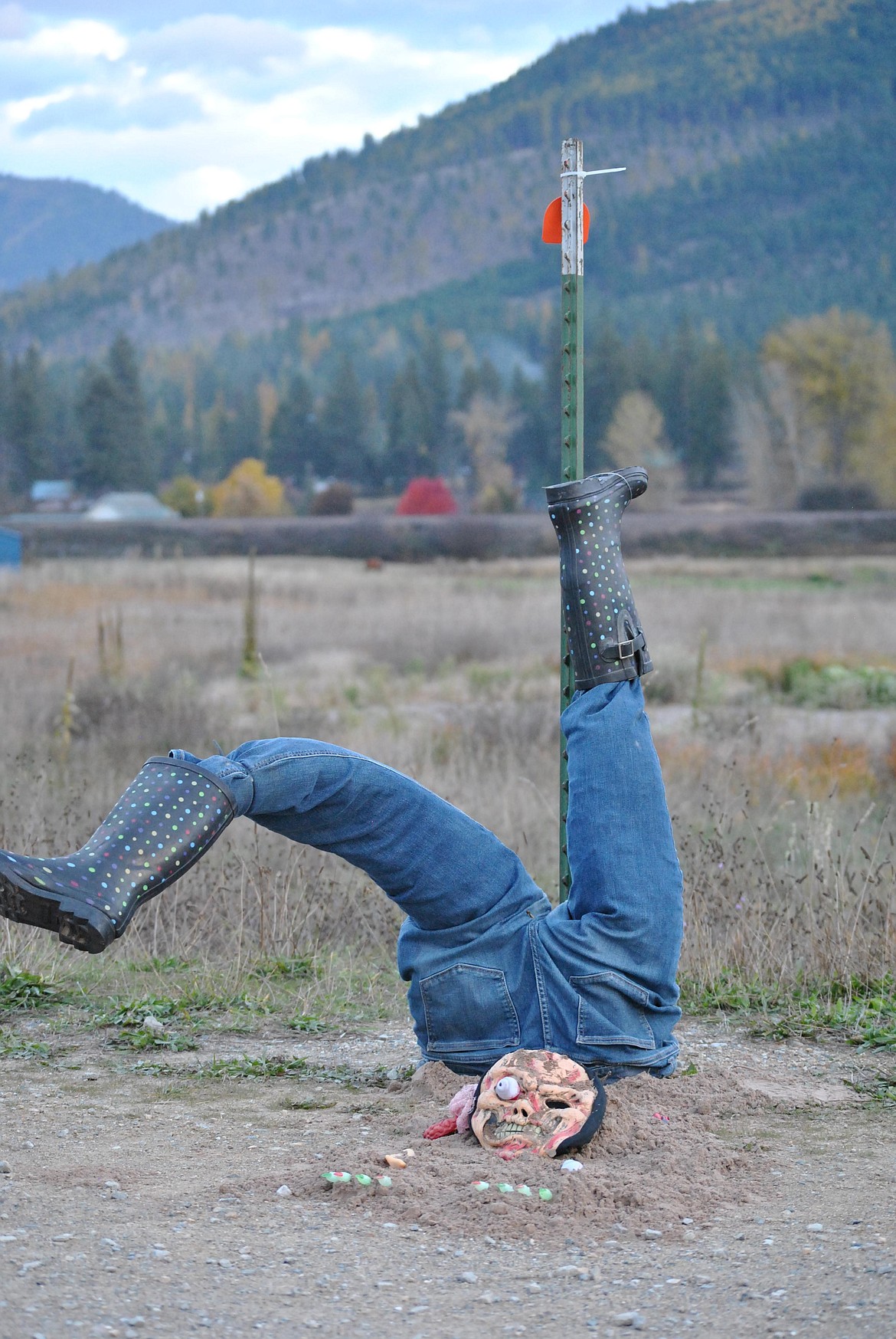 This creative scarecrow took third place and it appears to have had a rough landing. I was made by Rachel Koke, Janet Burnham and Emily Park. (Amy Quinlivan/Mineral Independent)