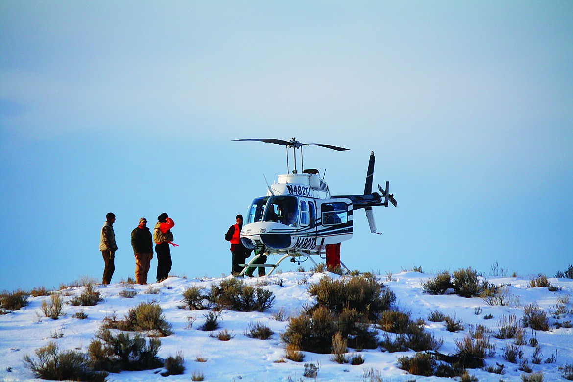 Because aerial surveys take a lot of time, personnel and resources, Fish and Game must rotate their survey resources around the state. Most deer and elk populations typically get an aerial survey about every 5 to 6 years, and there are different kinds of surveys.