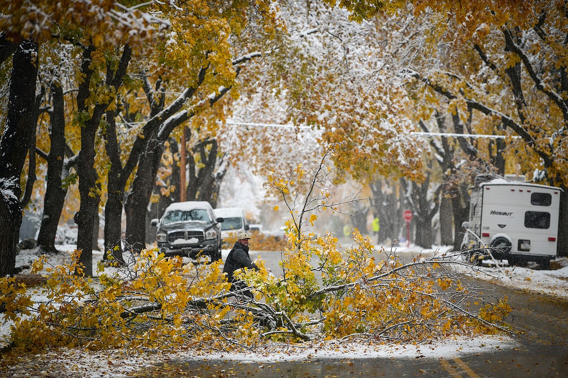 Justin Masters pulls fallen tree limbs and branches off the roadway along First Avenue East in Kalispell on Wednesday, Nov. 2. Masters was driving along First Avenue East when he pulled over to clear up the debris that had fallen from a snowstorm. (Casey Kreider/Daily Inter Lake)