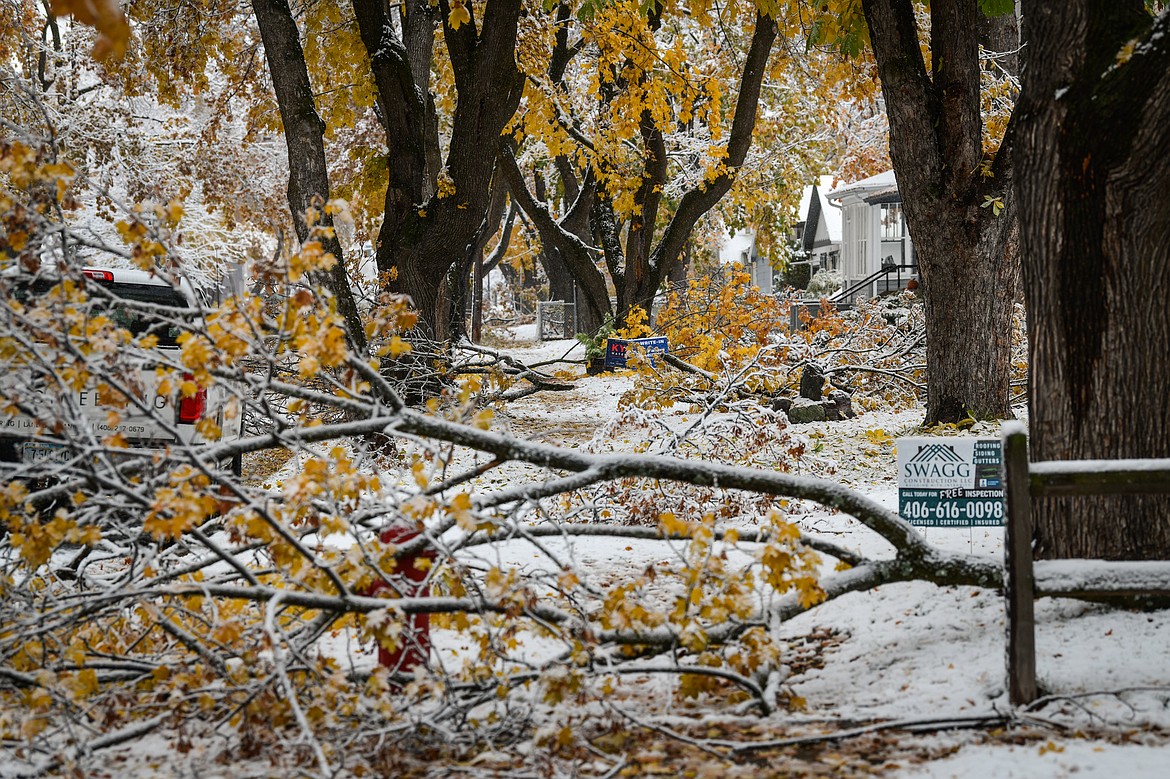 Fallen tree limbs and branches across the sidewalk on First Avenue East in Kalispell on Wednesday, Nov. 2. (Casey Kreider/Daily Inter Lake)