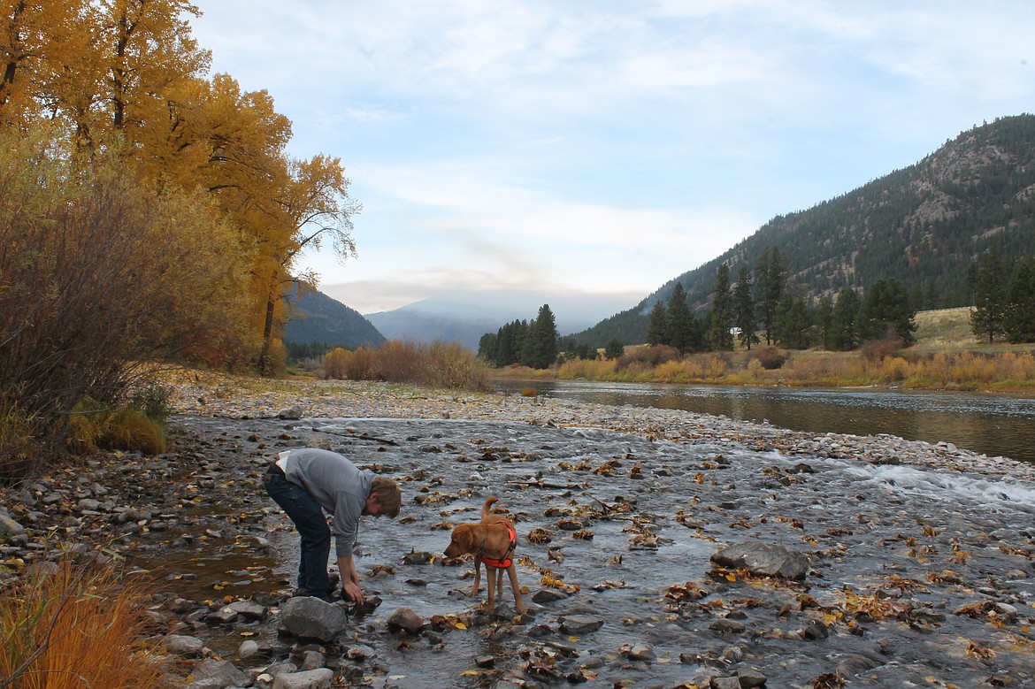 University of Montana alumni Lukas Sokalski collects native salmon fly nymph samples for a research project in a tributary of the Clark Fork river on Nov. 1.