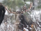 Wintry blast expected later this week