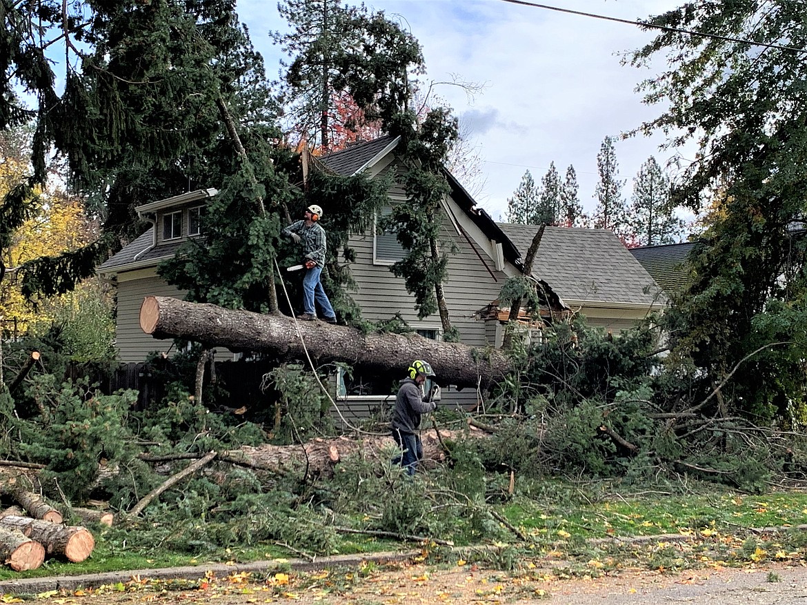 Crews with Jackson Tree Service remove two trees that were felled by strong winds in front of the Sanders Beach area home of Mike and Amy Maykuth early Saturday.