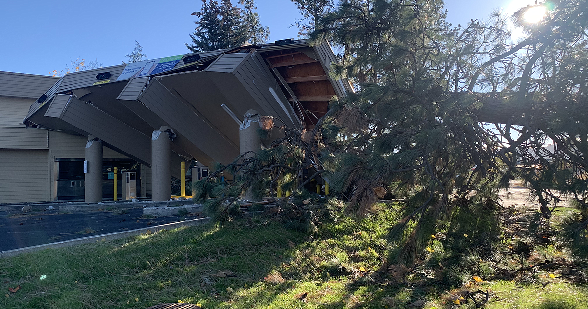 Windstorm Topples Trees Knocks Out Power For Thousands Coeur Dalene