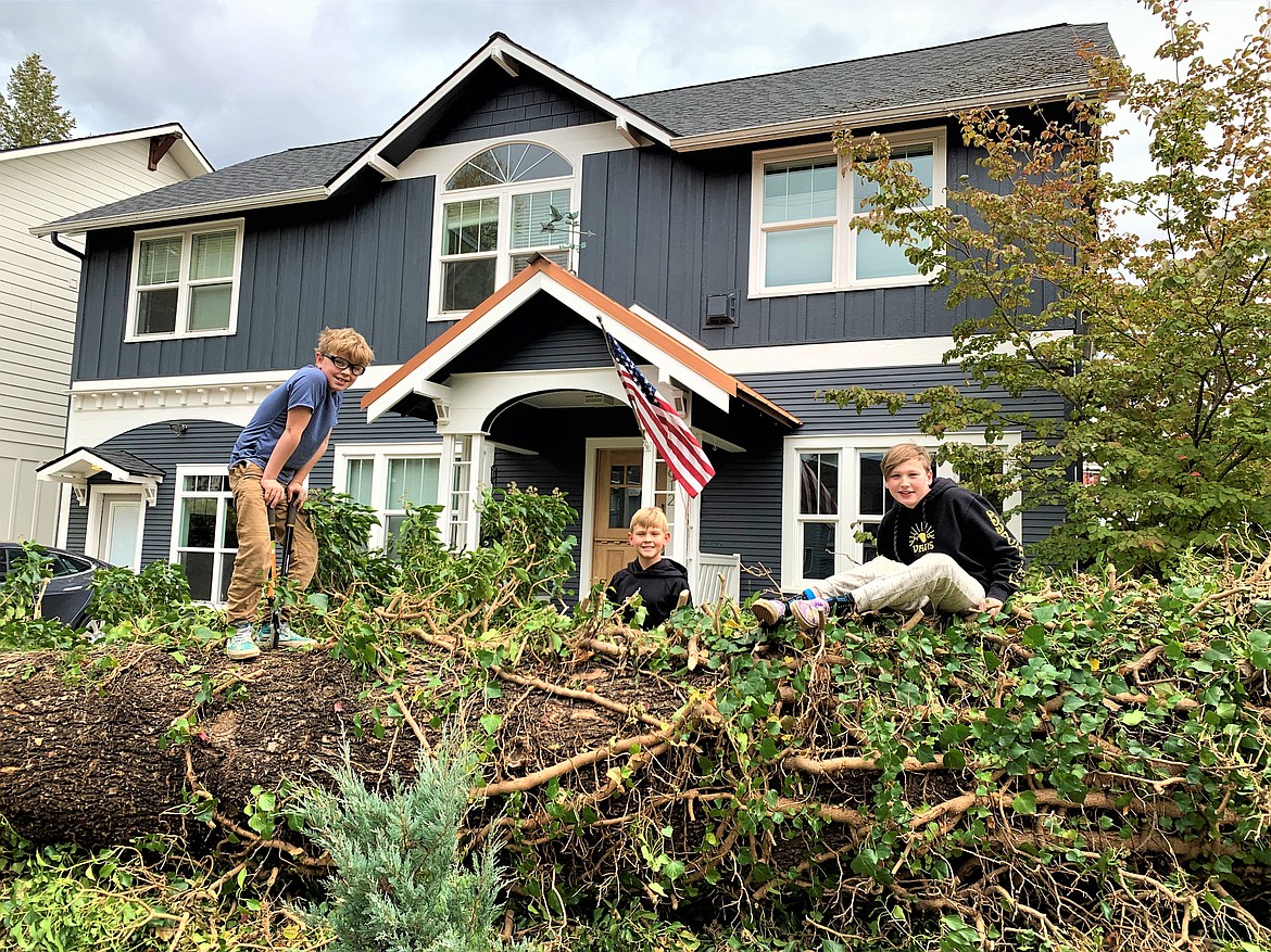 Mitchell Piekarski, left, Magnus Mikkelsen, center, and Sam Perschau sit on the tree that fell in front of the Perschau home at 11th and Mountain on Saturday.