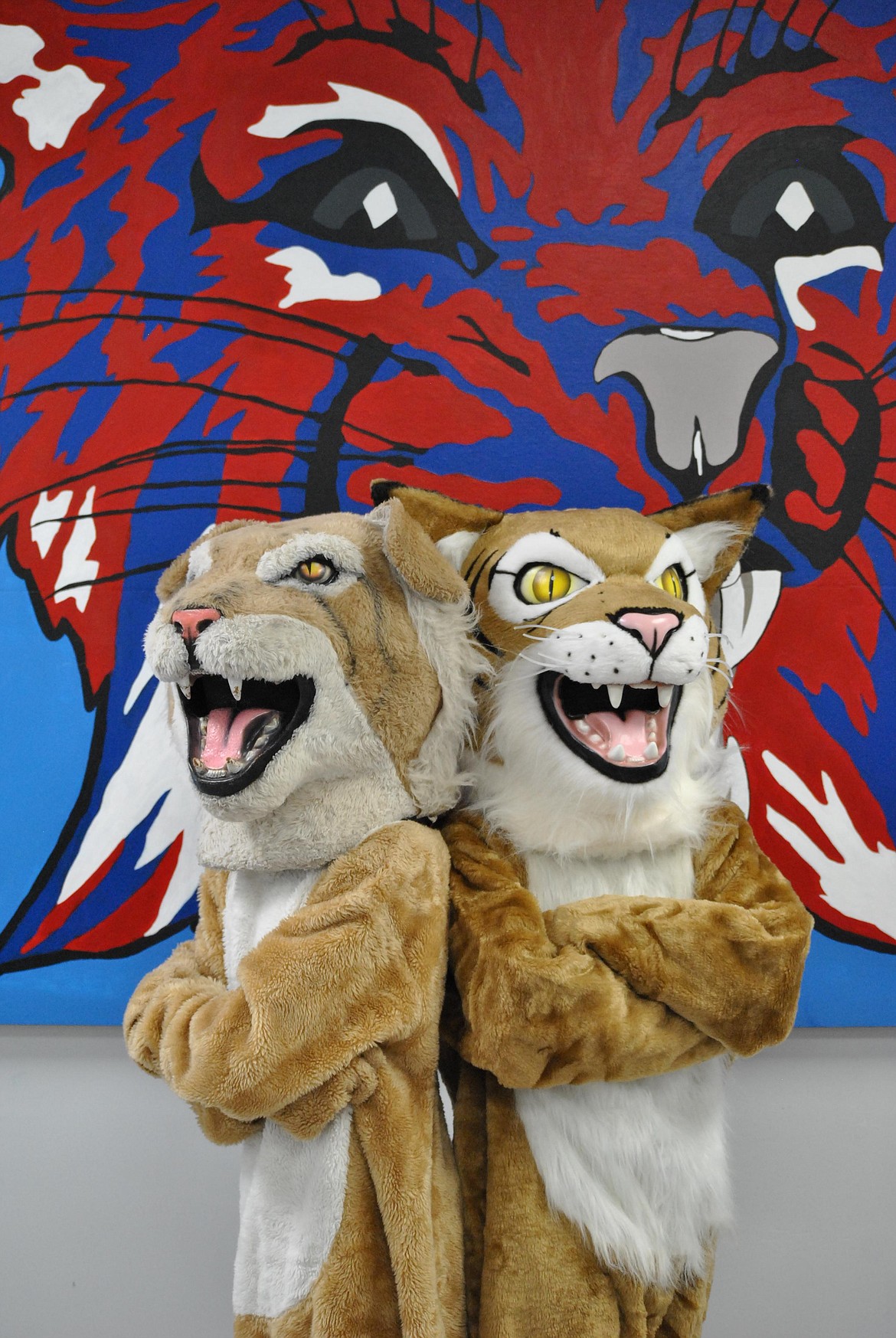 Thirty years difference between these two bobcat mascots. (Mineral Independent/Amy Quinlivan)