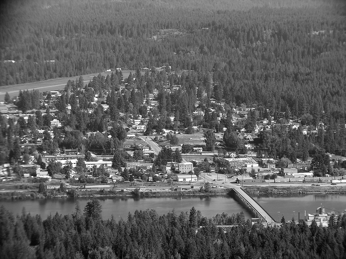 Priest River farmers asked to adopt cows Bonner County Daily Bee