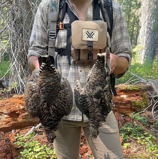 Top 3 small game species to hunt this fall and winter | Bonners Ferry