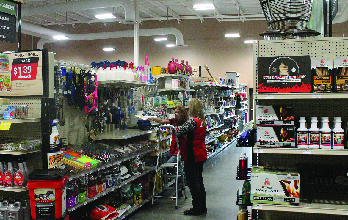 Julie Lybbert, left, and Andrea Visker go over some items in the pet and livestock supplies section of the new Ace store in Royal City. Lybbert, who recently moved back to the area from the west side, has raised animals before and knows their needs, she said.