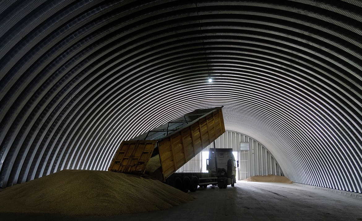 FILE - A dump track unloads grain in a granary in the village of Zghurivka, Ukraine, Aug. 9, 2022. Top Russian and U.N. officials held talks in Switzerland on Friday, Nov. 11, 2022 to try to iron out the extension of a deal allowing Ukrainian grain shipments and Russian food and fertilizer exports, with just over a week left before the wartime agreement meant to ease a global food crisis is set to expire. (AP Photo/Efrem Lukatsky, File)