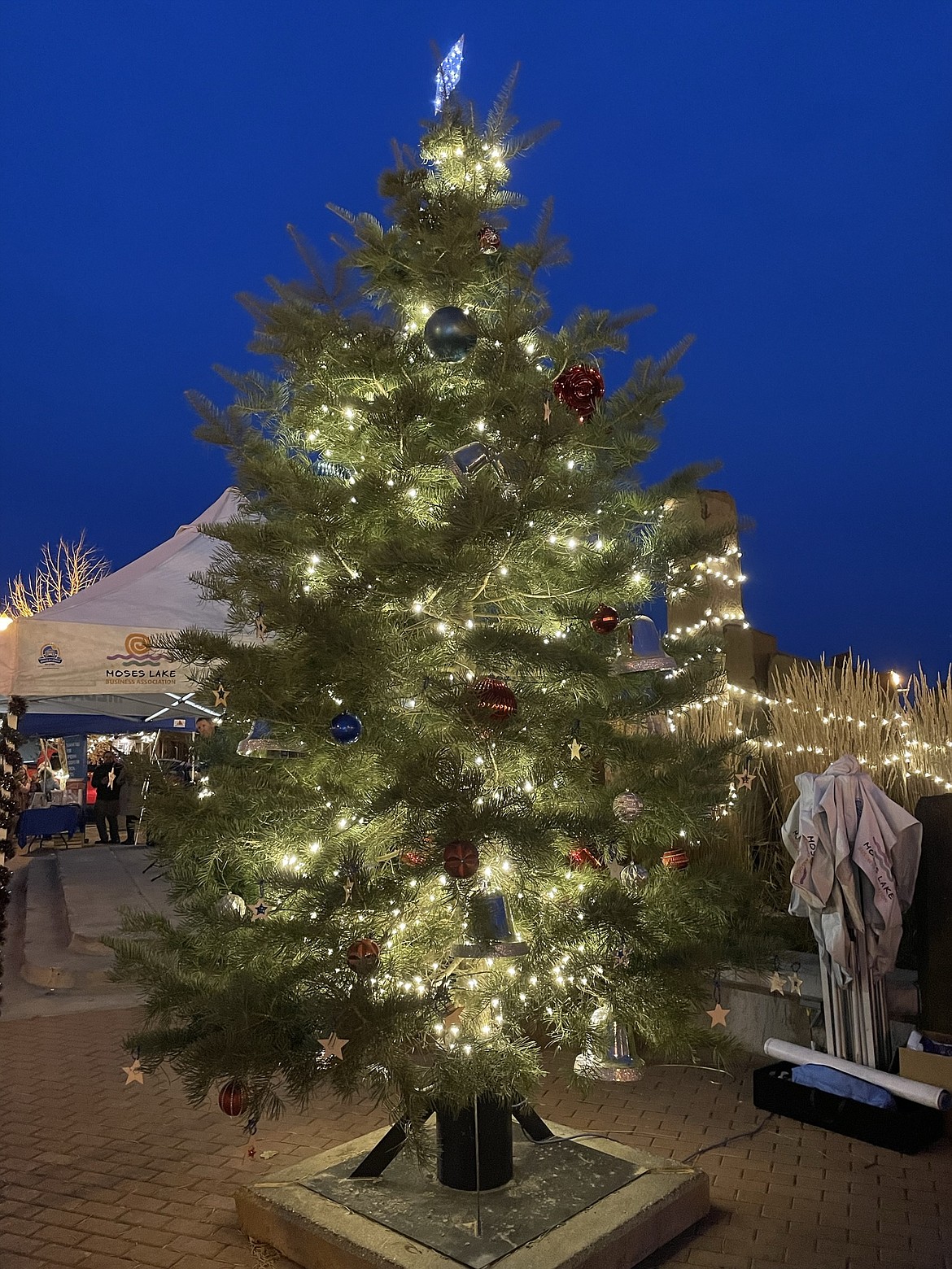 This year’s Moses Lake Christmas tree lit and standing in Sinkiuse Square.