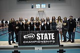Mavs take 4th at state swim meet