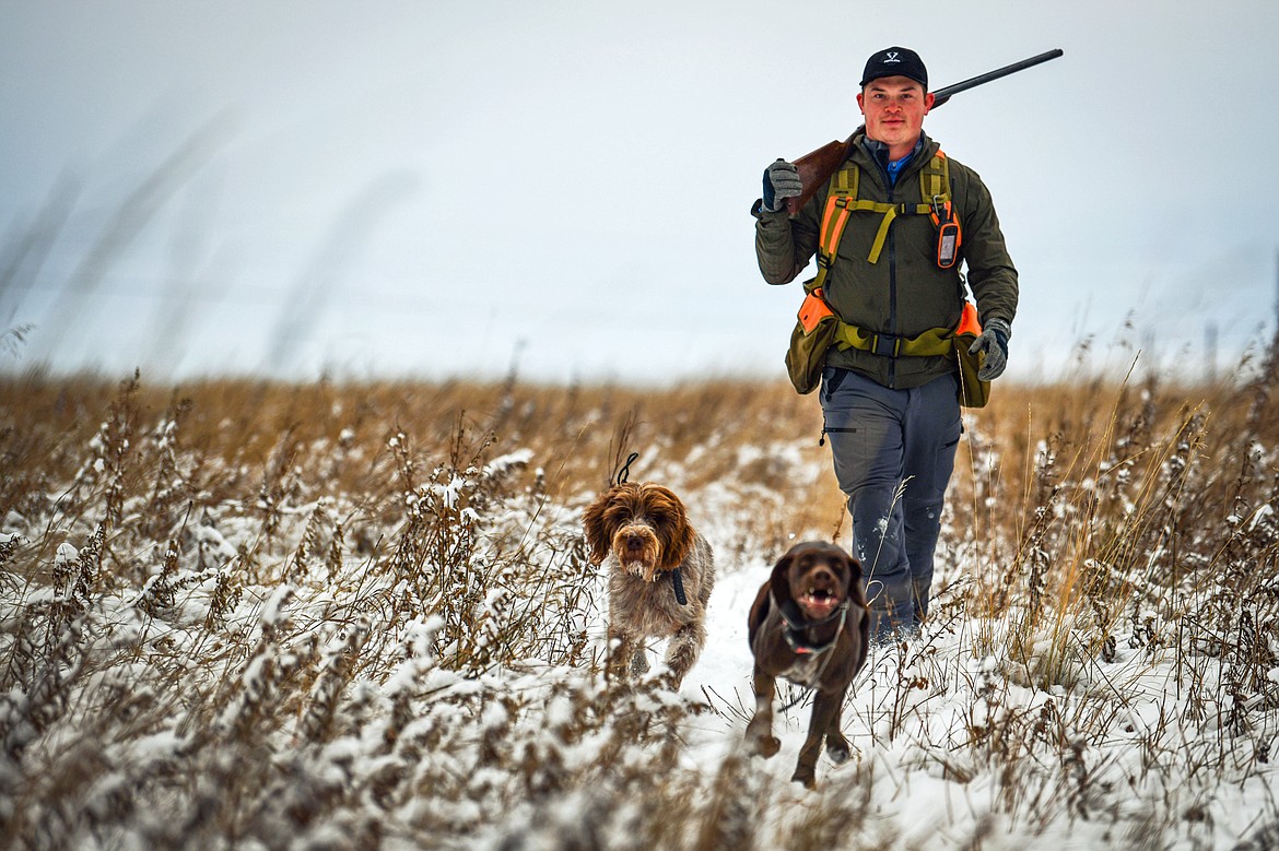 Easton Sempf hunts for upland game birds with his dogs Goose, left, and Ahsoka at the Flathead Waterfowl Production Area on Thursday, Nov. 10. (Casey Kreider/Daily Inter Lake)