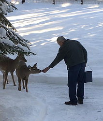 "My 94 year old father saves all the fallen apples from his orchard and hands them out during the winter to anyone interested. Some of his ‘friends’ show up every day around 3 p.m. hoping to be first in line. This is near Mica Bay, CDA lake."