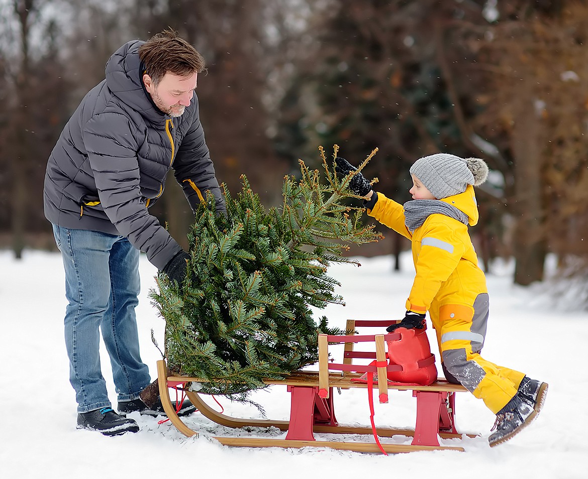 The U.S. Forest Service is again issuing Christmas tree permits. Permits for the Idaho Panhandle can be applied for either in person offices throughout the region or online.