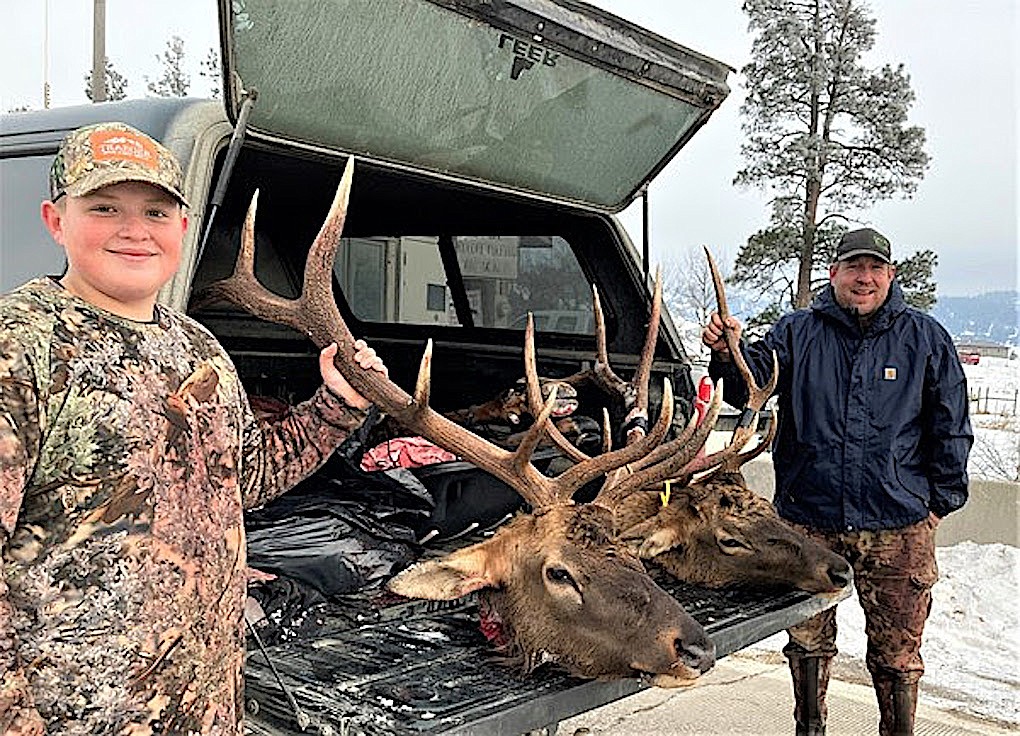 Elk harvest up, deer harvest down in northwest Montana Western News
