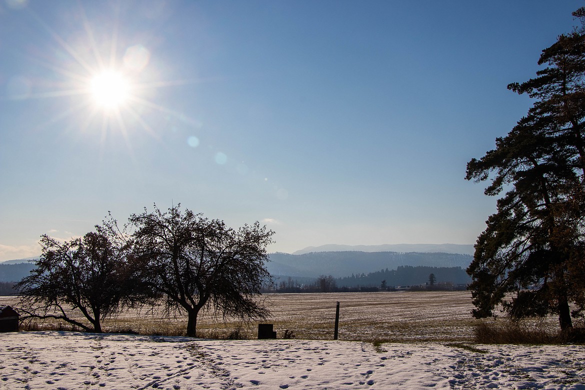 Farmland on Bruce Louden's property is seen. The land is part of a conservation easement. (Kate Heston/Daily Inter Lake)