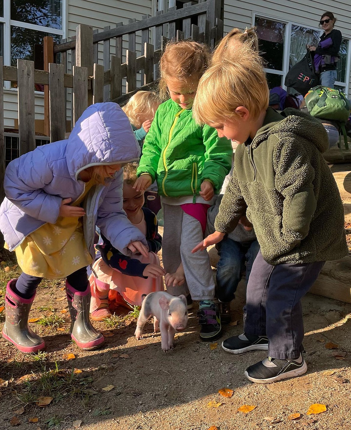A little piglet named "Wilbur" joined Thimbleberry kindergarten students outside at play in late September. The school's students recently shared the many things for which they are grateful.