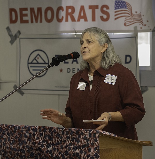 Democrats gather in Plains to discuss session Valley Press