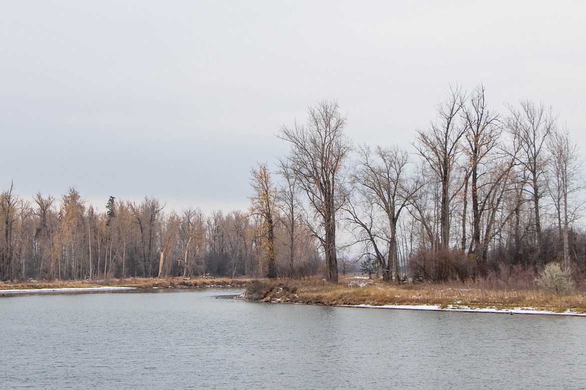 The Seabaugh family land is seen in the Lower Valley. The land was placed under a conservation easement through the River to Lake Initiative. (Kate Heston/Daily Inter Lake)