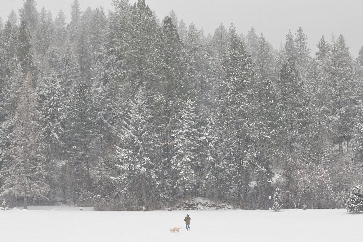 Snow blankets the grass field of McEuen Park and the trees of Tubbs Hill as a person and their dog trek through the snow on Monday.