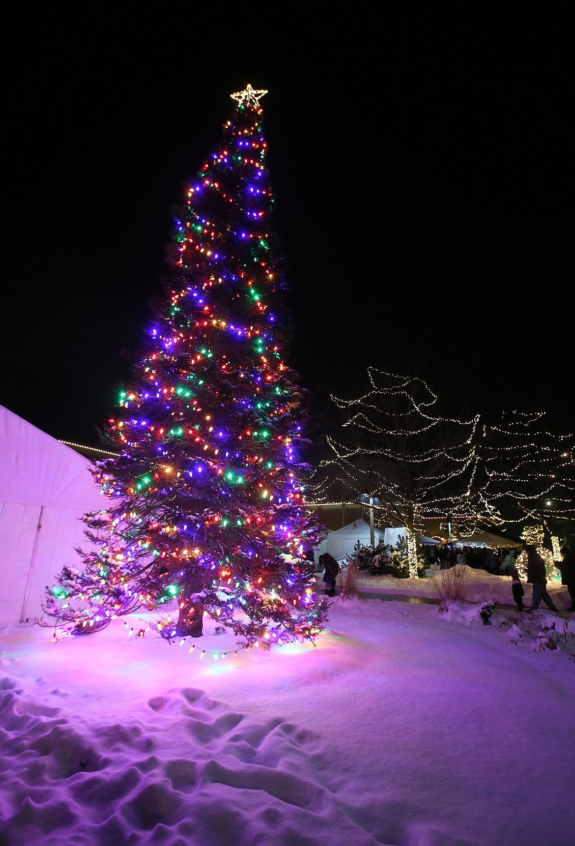 The Christmas tree at Post Falls City Hall Plaza was officially lit Friday night during Winterfest.