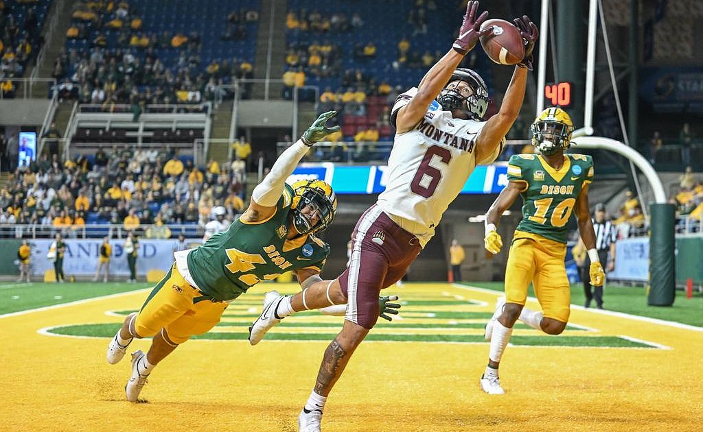 NDSU ➡ NFL Bison defensive end - North Dakota State Bison