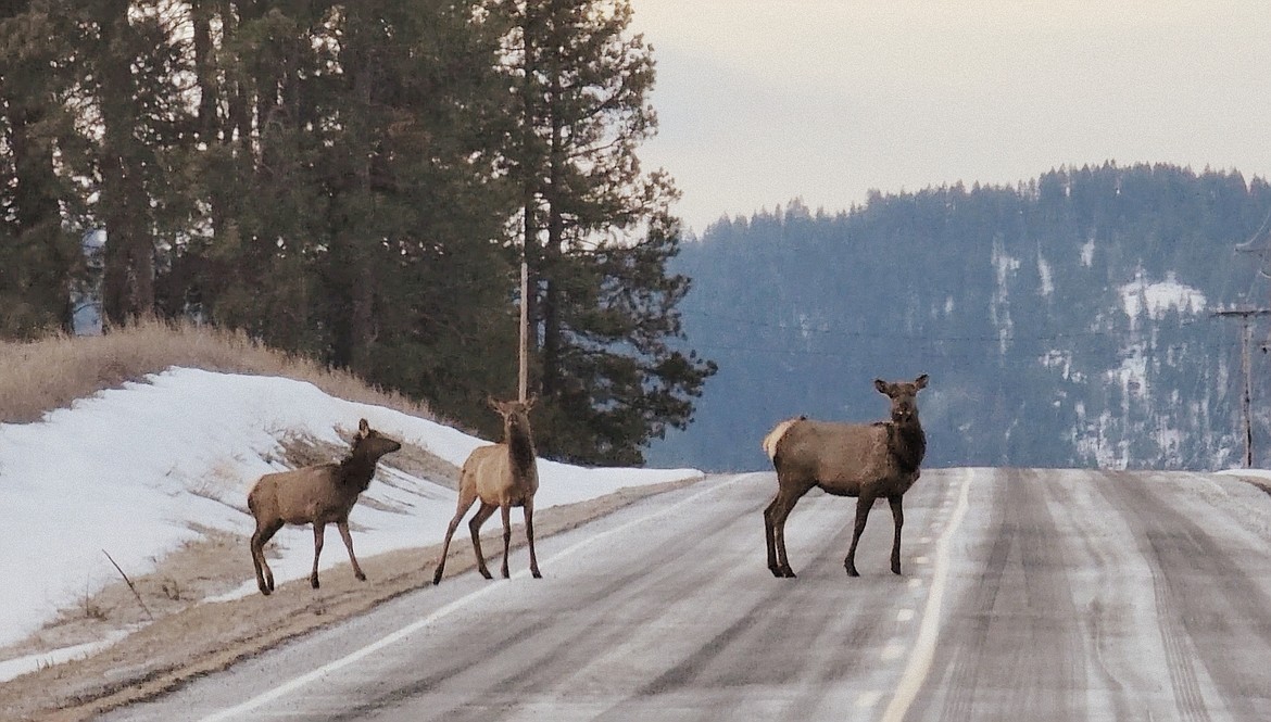 "I took this in Worley on my way to work."