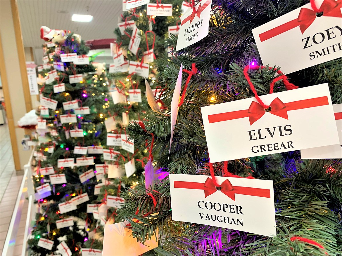 Names of pets decorated trees at the "Lights of Love" display at the Silver Lake Mall.