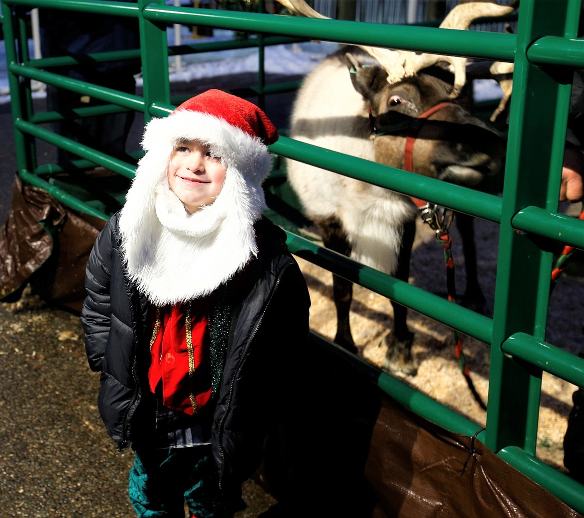 John Costigan, 5, poses by a reindeer at The Coeur d'Alene Resort on Tuesday.