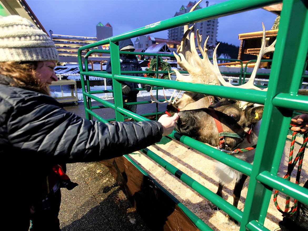 Tina Costigan feeds a reindeer at The Coeur d'Alene Resort on Tuesday.